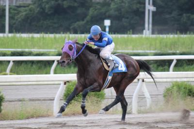 ファイル 5380-1.jpg