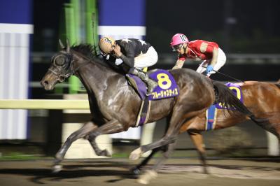 ファイル 5432-1.jpg