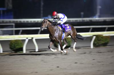 ファイル 5577-1.jpg