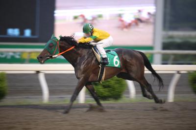 ファイル 5980-1.jpg