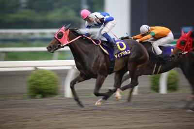 ファイル 6029-1.jpg