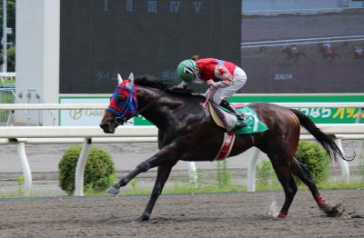 ファイル 6072-1.jpg