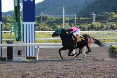 ファイル 6334-1.jpg