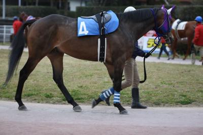 ファイル 6767-1.jpg