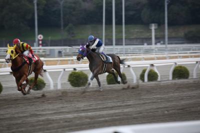 ファイル 6767-2.jpg