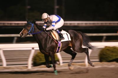 ファイル 811-1.jpg