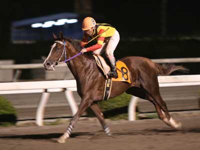 ファイル 1162-1.jpg