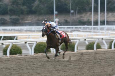 ファイル 2240-1.jpg