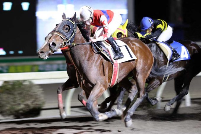 別府真衣騎手ラストライド2021/11/28