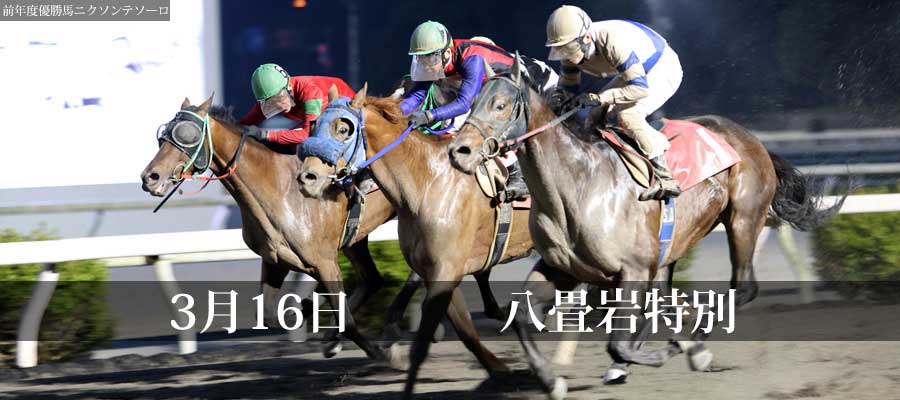 恋々05様確認用☺︎ウッドバーニング （San Diego Yu Yu, September 16 